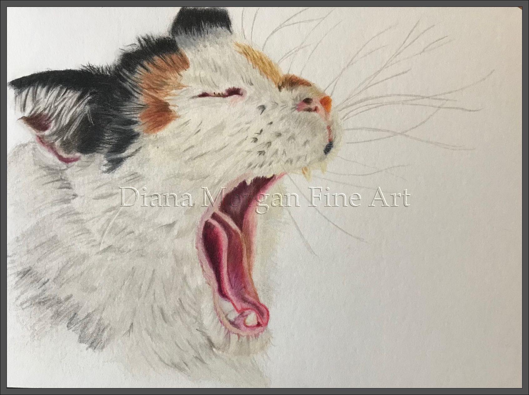 Big Yawn